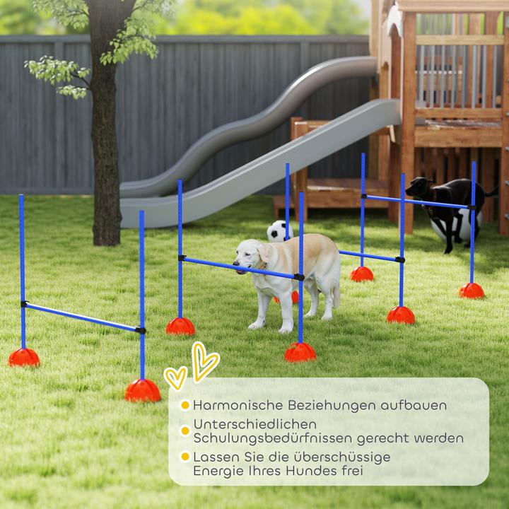 Immagine prodotto PawHut Agility Set Hunde Kunststoff Blau (Taglia unica, Destrezza)