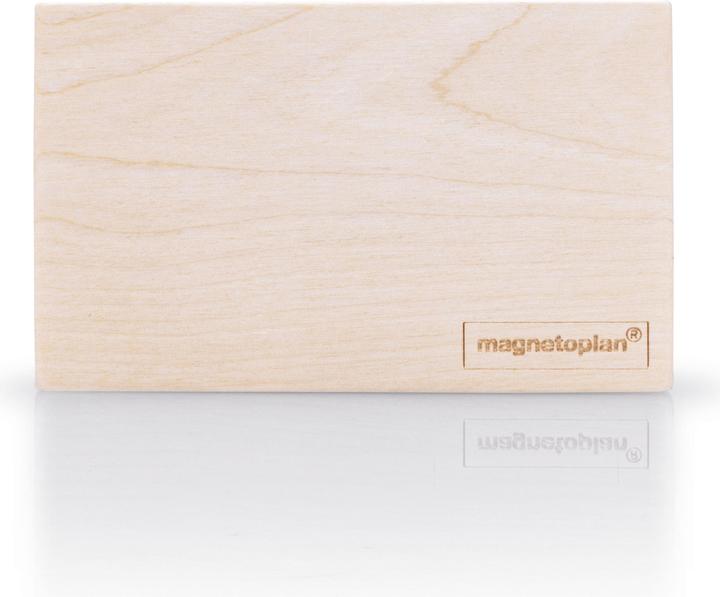 Magnetoplan Penhouder magnetisch (B x H) 114 mm x 64 mm berkenhout