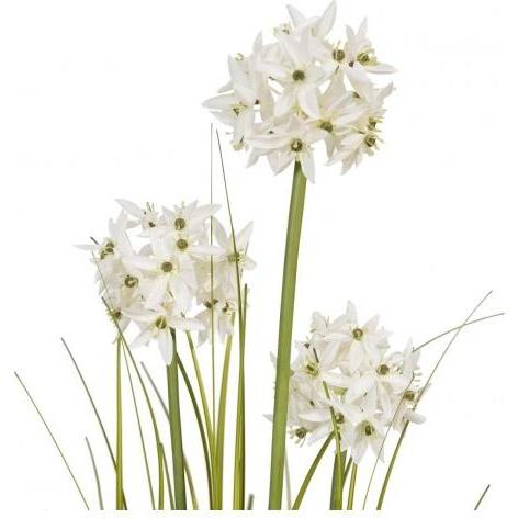 Europalms, Pianta Artificiale, Erba Allium, Pianta Artificiale, Bianca, 120 Cm