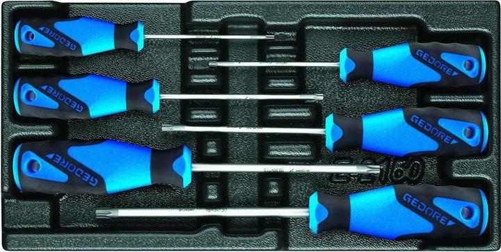 Gedore 1500 ES-2163 TXB Screwdriver set in 1/3 ES module (TX)