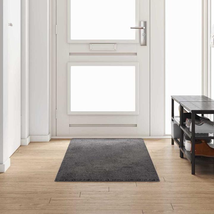 Immagine prodotto vidaXL Läufer (250 x 80 cm)