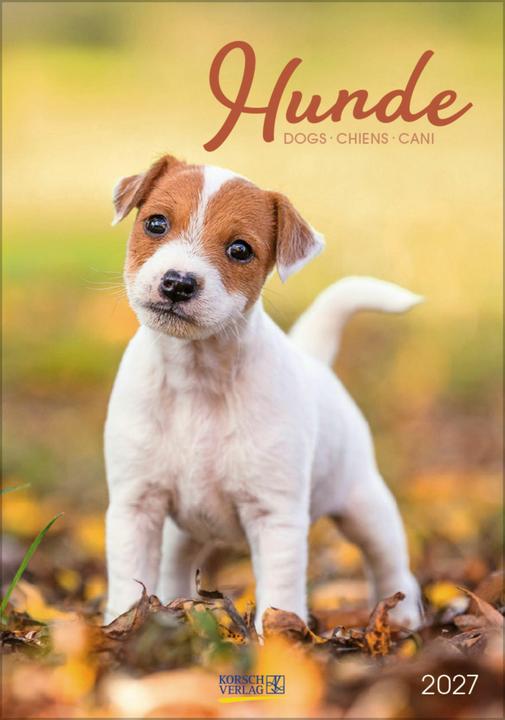 Produktbild Hunde 2027