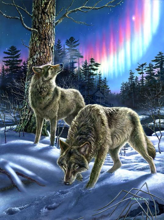 Produktbild Sunsout Puzzle 1000 pieces Wolves and Lights (1000 Teile)
