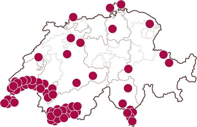 Image du produit Smartbox Dégustation de vin (2 Personnes)