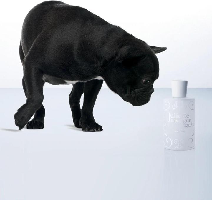 Immagine prodotto Juliette Has a Gun Comunque (Eau de parfum, 100 ml)