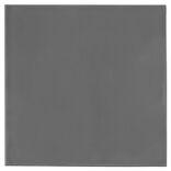 Thermal Grizzly TG Minus Pad Extreme V2 - 100x 100x 0,5mm