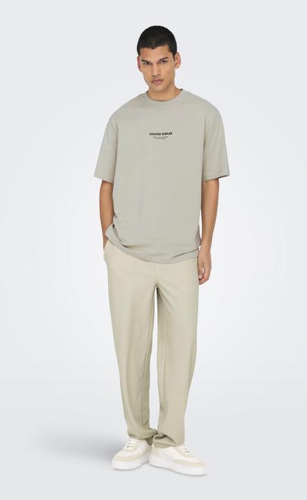 Produktbild Only & Sons Onscurated Rlx Print Ss Tee Noos (L)