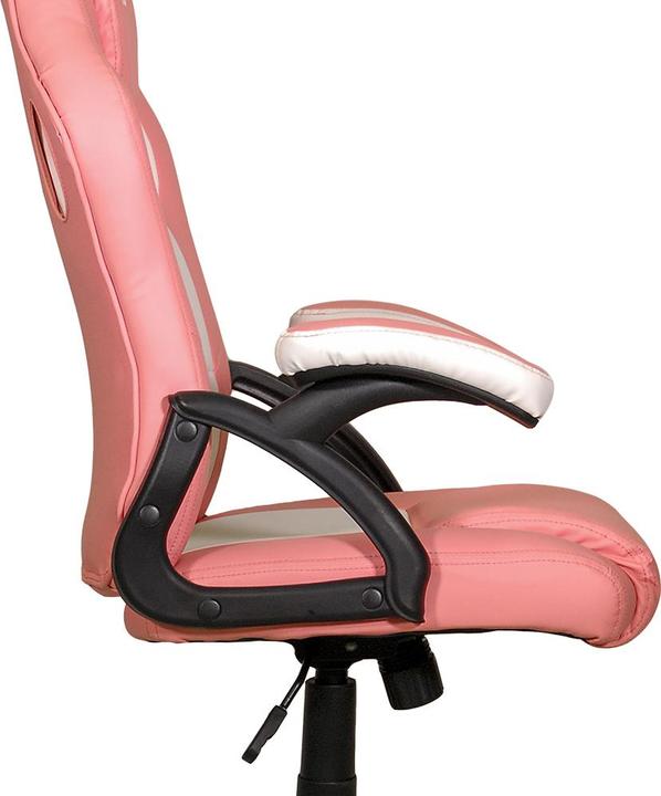 Actual product image Xtreme MX12 KOR