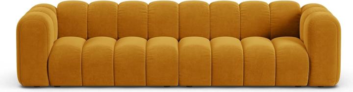 Actual product image Micadoni Lupine