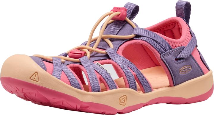 pink lemonade, Purple Haze