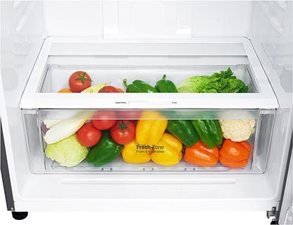 Actual product image LG GTF744PZPE Double Door Refrigerator Class E (509 l)