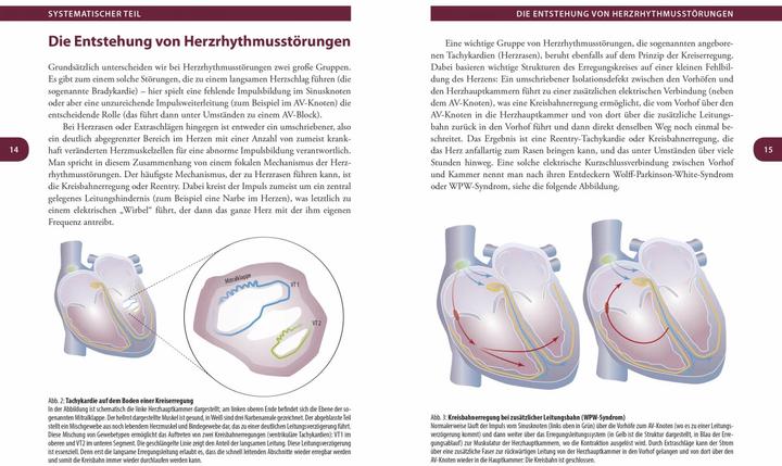 Produktbild Herzrhythmus Der Takt des Lebens (Deutsch, Thorsten Lewalter, 2019)