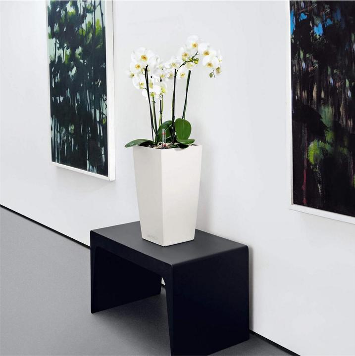 Produktbild Lechuza Cubico Color (22 cm)