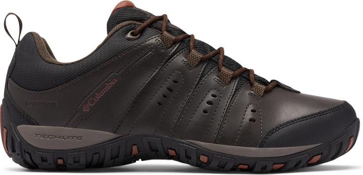 Cinnamon, Cordovan