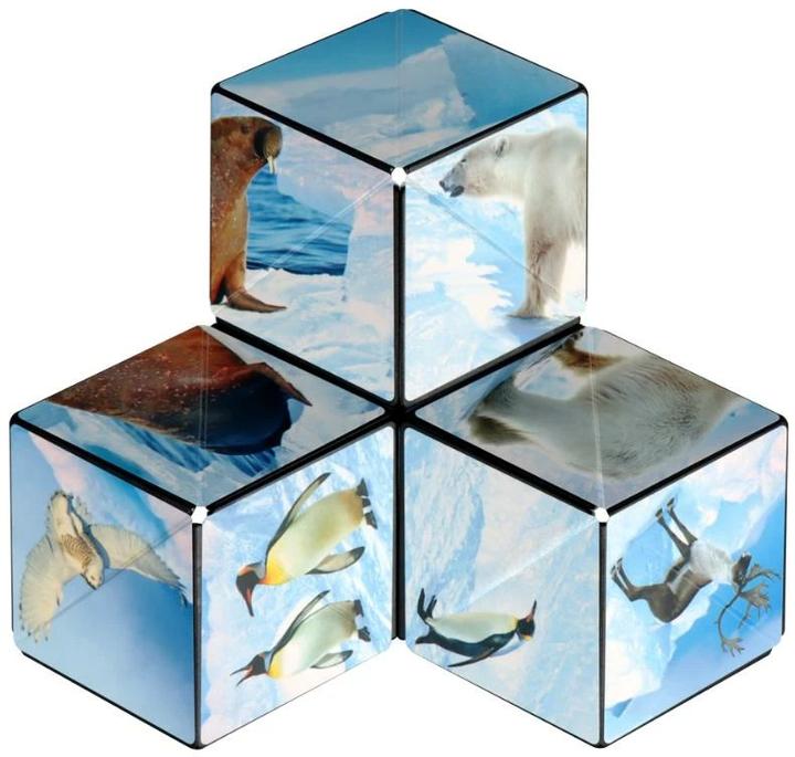 Produktbild Shashibo Cube Arctic