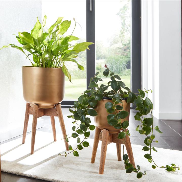 Produktbild Wohnling 2er (31 x 31 x 51 cm)
