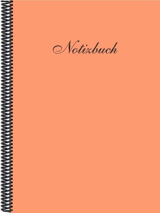 Actual product image Notebook DINA 4 (A4, A5, Checked, Plain)