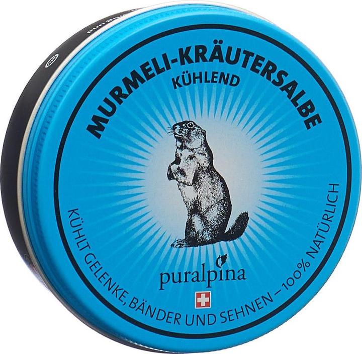 Image du produit Puralpina Pommade aux herbes Murmeli (1 x, 100 ml, 100 g)