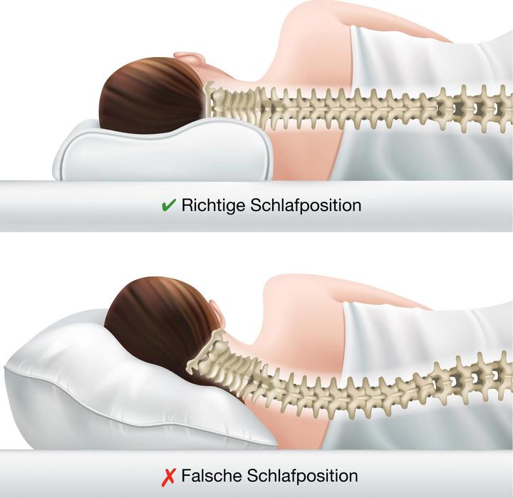 Immagine prodotto Erwin Müller Nackenstützkissen (33 x 58 x 10 cm)