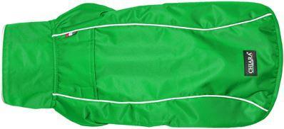 Image du produit Chiara Harry (XXL, Manteau pour chien)