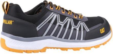 Actual product image Cat Batch (S3, 45)