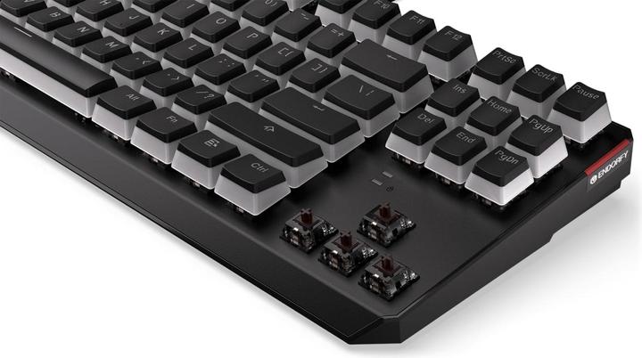 Image du produit Endorfy Thock TKL Pudding (US, Filaire)