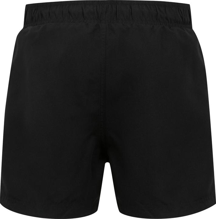 Produktbild Regatta Mawson II Kurze Hose (XL)