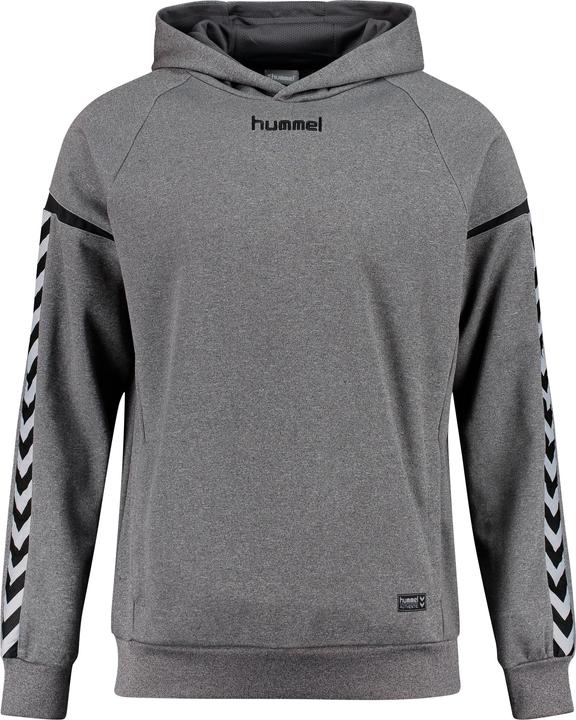 Produktbild hummel Authentic Charge Poly Hoodie (116)