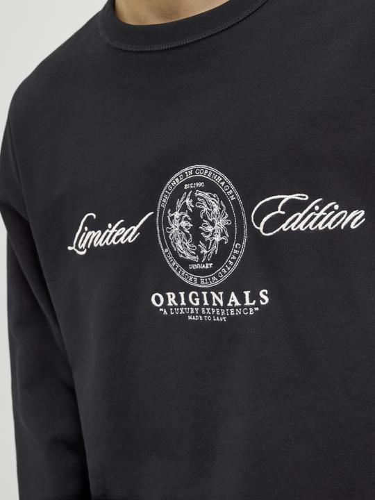 Actual product image Jack & Jones Jordia Sweat Crew Neck Ss25 (XL)