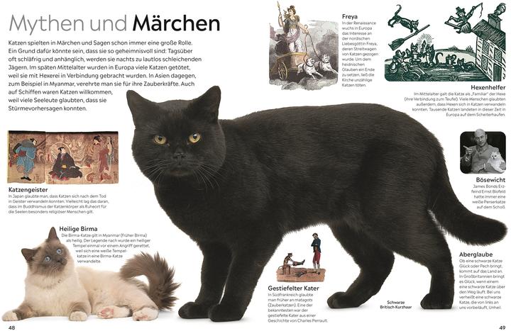Actual product image memo Wissen. Katzen (German, DK Verlag - Kids, Juliet Clutton-Brock, Susanne Schmidt-Wussow, 2024)