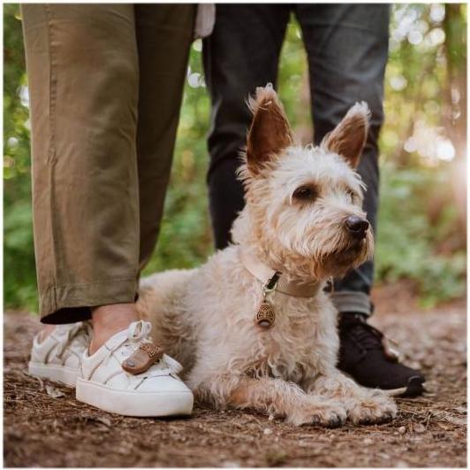 Immagine prodotto Tickless Tick Repellent