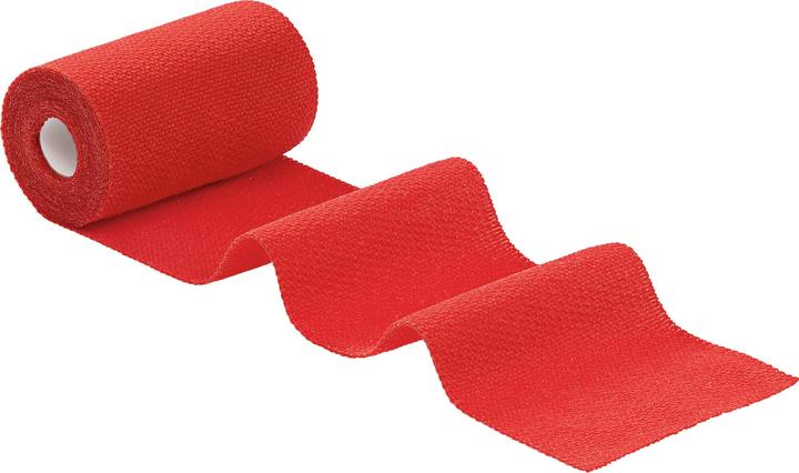 Actual product image Hartmann IDEALAST-HAFT CO R 10CMX4M