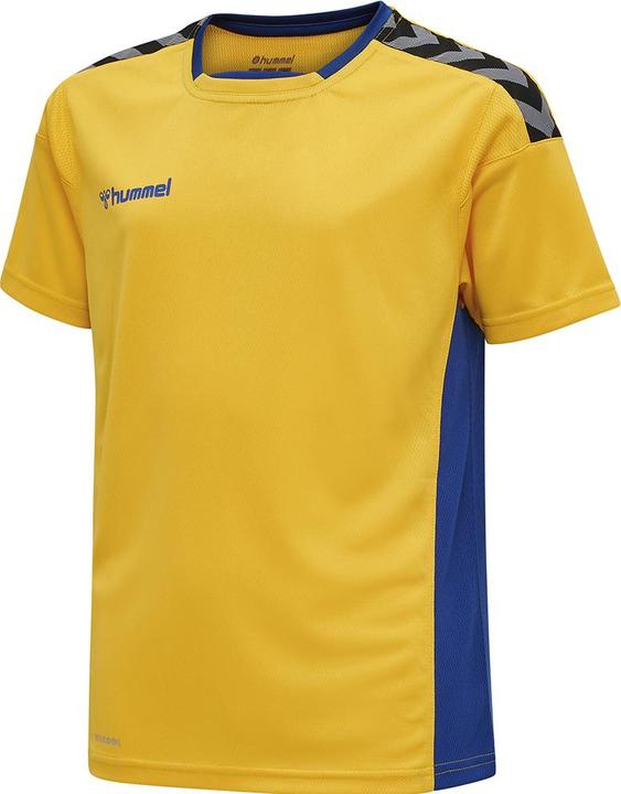 hummel Authentic Kids Poly Jersey S/S (164)