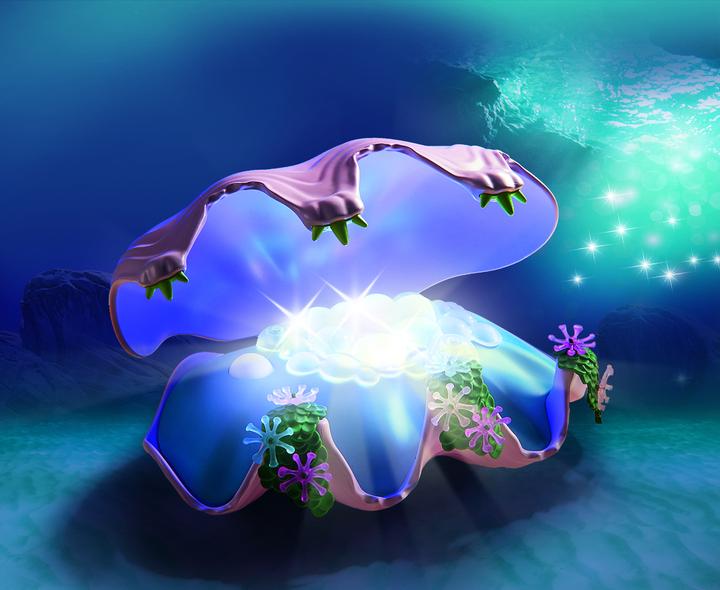 Immagine prodotto Playmobil Nightlight Pearl Scallop (70095)