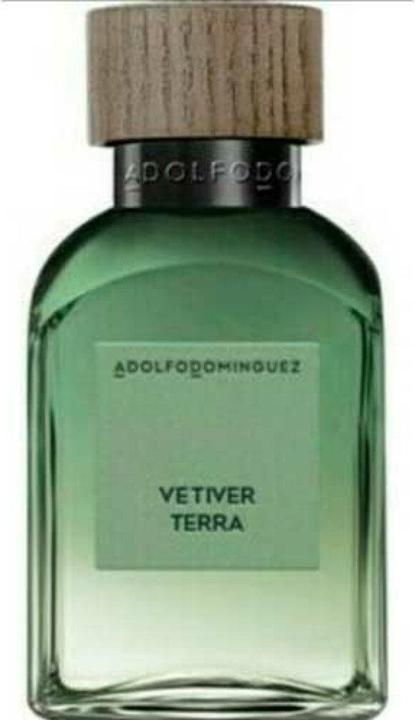 Actual product image Elizabeth Arden Adolfo Dominguez - Agua Fresca Vetiver Terra EDP (Eau de parfum, 120 ml)