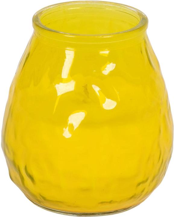 müller Kerzen Bougie de jardin Citronella Summerlight 10 x 6 cm (1 pcs)