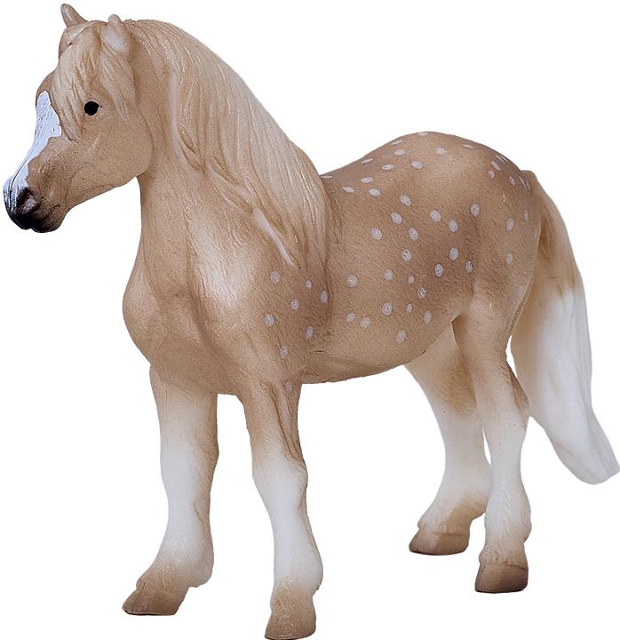 Image du produit Mojo Welsh poney