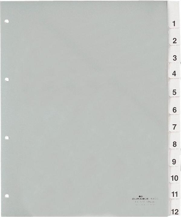 Productafbeelding Durable Registreer PP