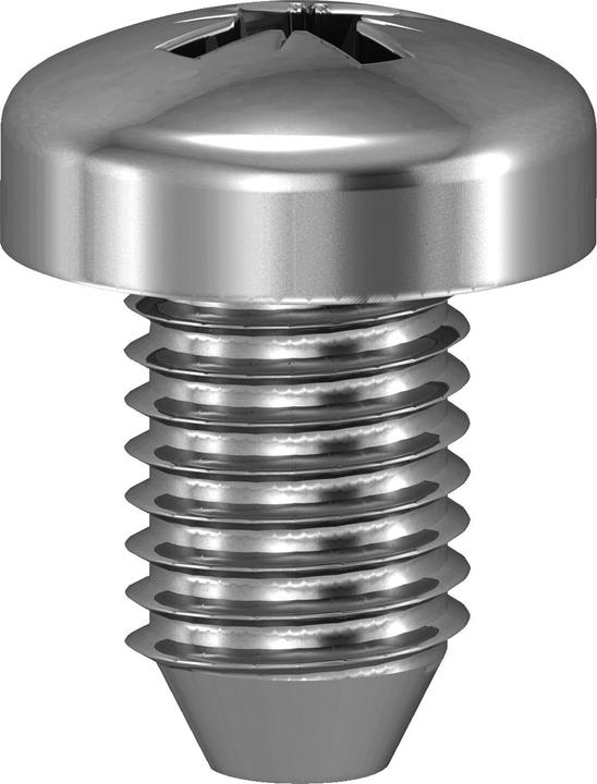 Actual product image Schneider Electric SELF-TAPPING SCREWS 100 PCS. NSYAMFSB (100 Screws per piece)