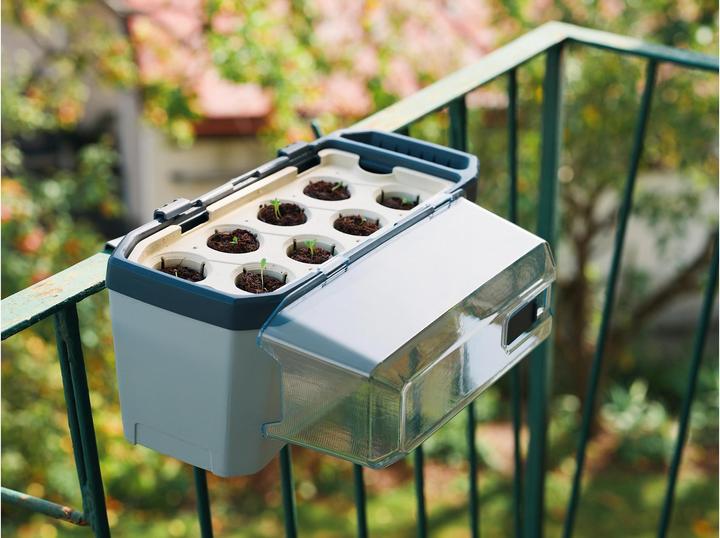 Actual product image Gusta Garden Harry Herbs (35.80 x 15 x 25 cm)