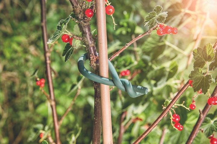 Immagine prodotto Windhager Filo da giardino con rivestimento in gomma (500 cm, 0.50 cm)