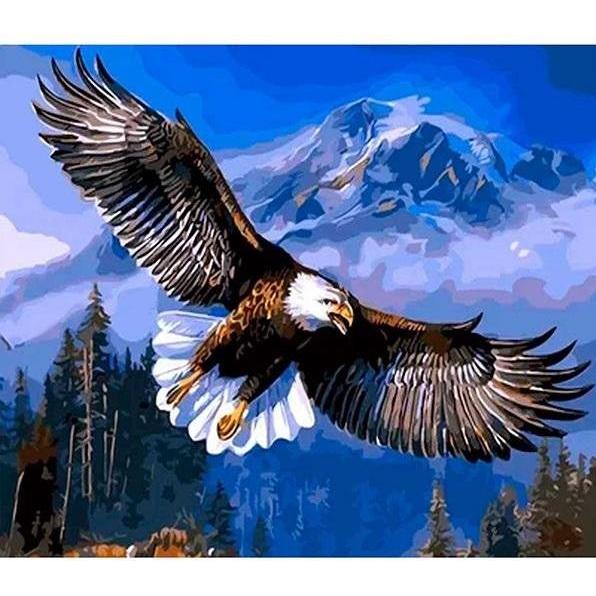 Norimpex 5D-Diamantmosaik - Adler 40x30cm