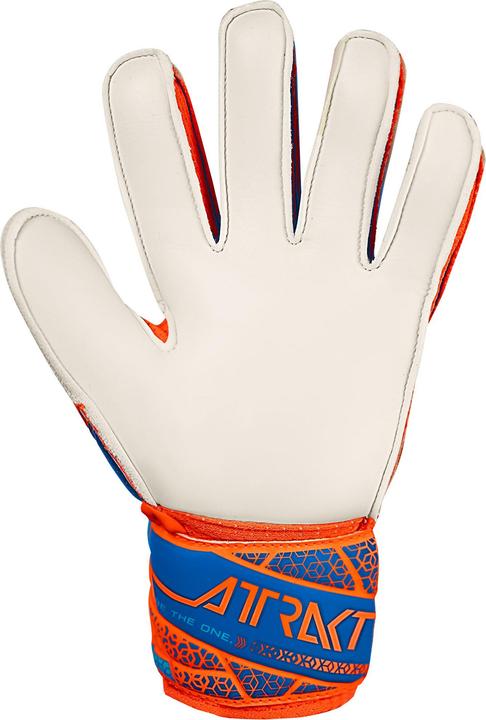 Produktbild Reusch Football Attrakt Solid (7)