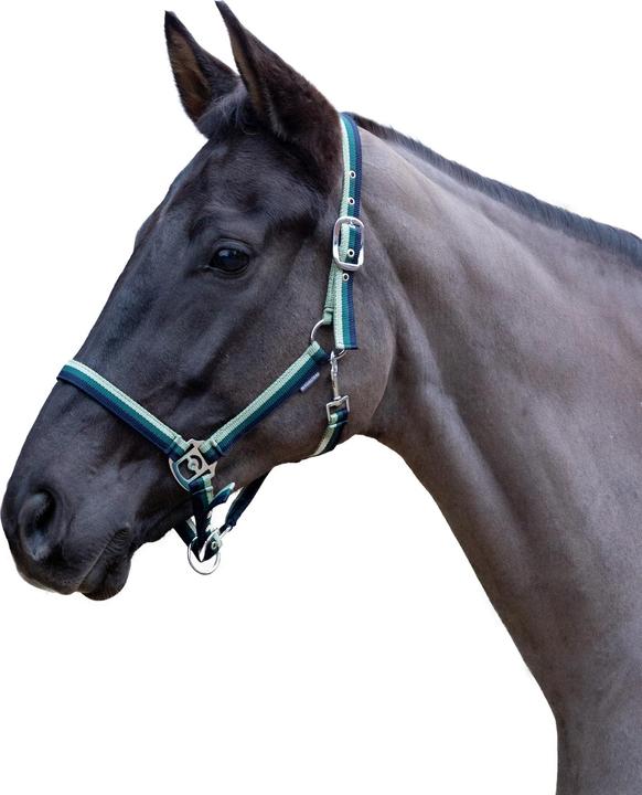 Image du produit Hy - Licol TRINITY