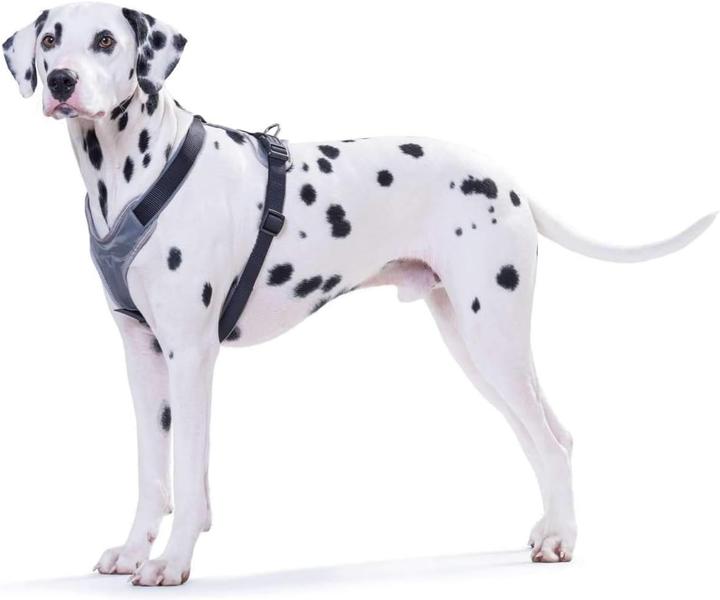 Immagine prodotto Hunter Imbracatura NeopreneNylon (S, Cane, Sport cane, Jogging, Generale, Passeggiare)