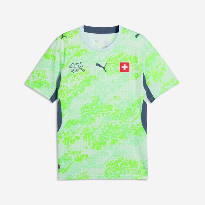 Productafbeelding Puma SFV Away Jersey Replica (L)