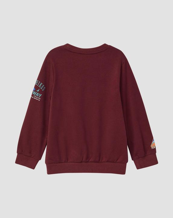 Produktbild s.Oliver Sweatshirt mit 3D-Prints und Stickerei-Details (92, 98)