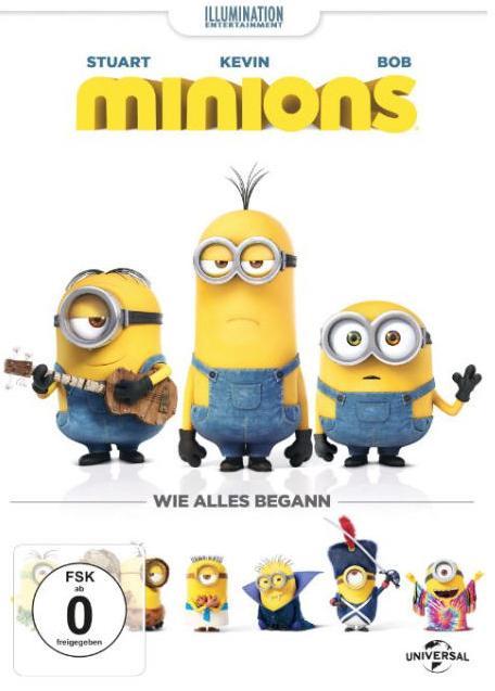Minions (DVD, 2015)