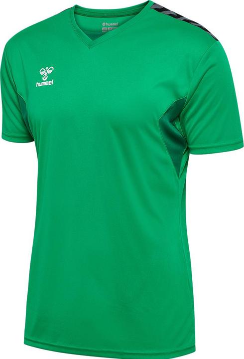Image du produit hummel Hmlauthentic Pl Jersey S/S (M)