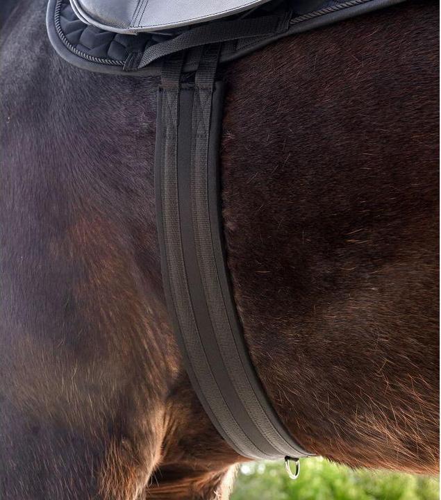 Immagine prodotto AWA Circonferenza sella economica